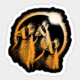 Racoon Eclipse Sticker